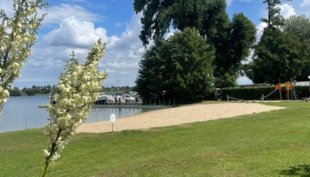 WhatsApp Image 2025-07-08 at 16.44.55 (1)