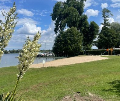 WhatsApp Image 2025-07-08 at 16.44.55 (1)