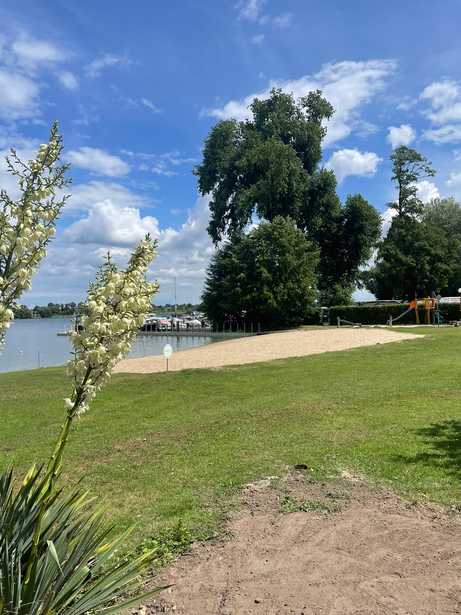 WhatsApp Image 2025-07-08 at 16.44.55 (1)