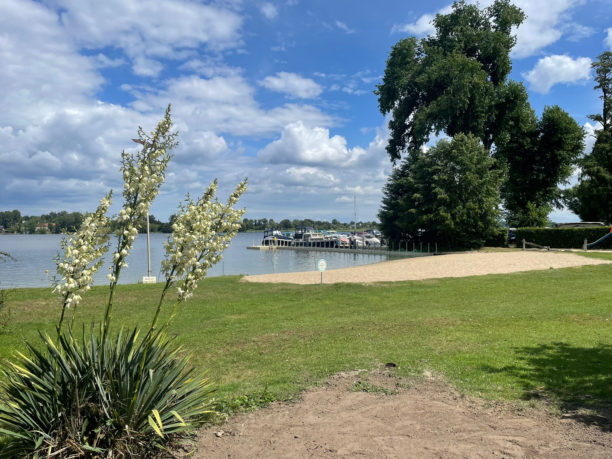 WhatsApp Image 2025-07-08 at 16.44.55